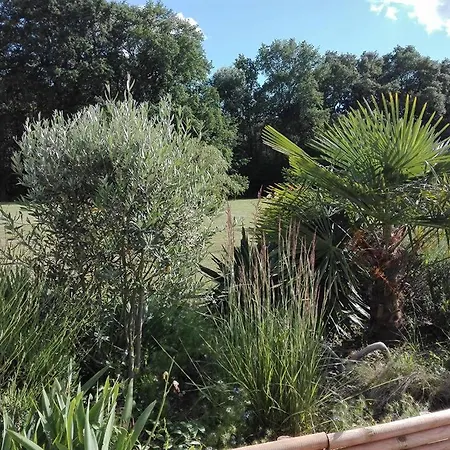 Bed and Breakfast La Douciniere