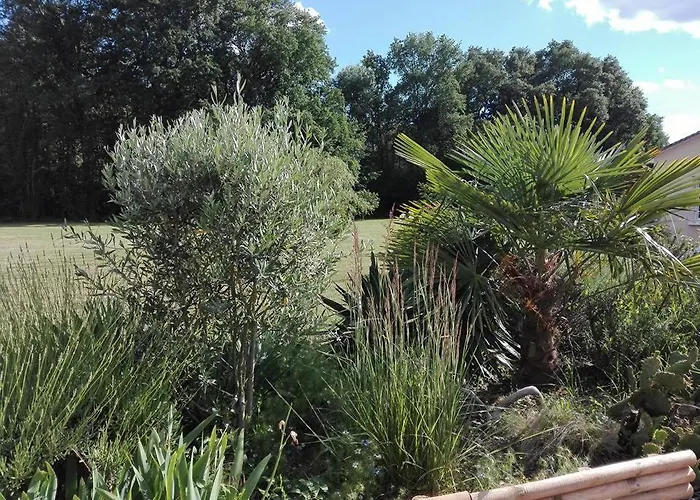 Bed & Breakfast La Douciniere