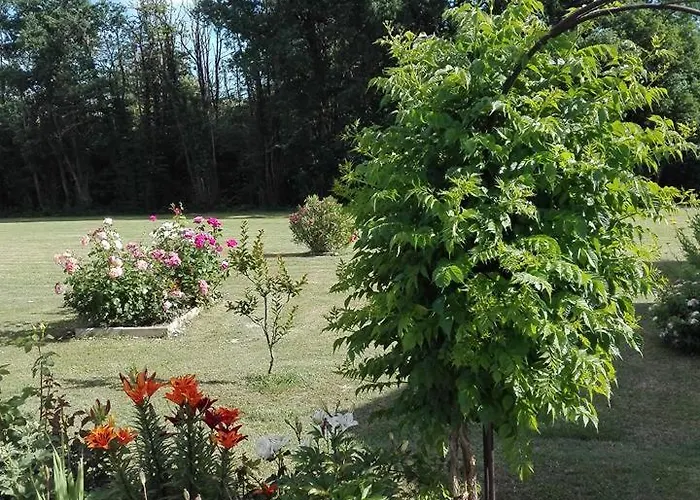 La Douciniere Bed & Breakfast Polignac (Charente-Maritime)