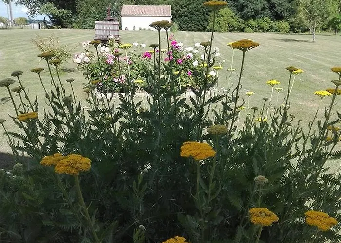 La Douciniere Polignac (Charente-Maritime)